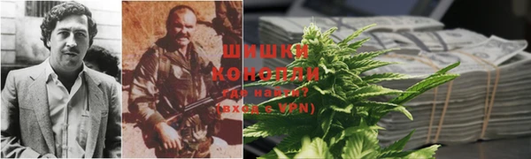 ГАЛЛЮЦИНОГЕННЫЕ ГРИБЫ Остров