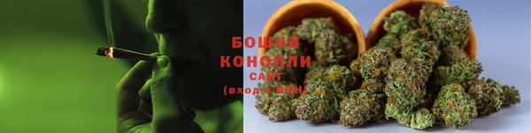 амф Осташков