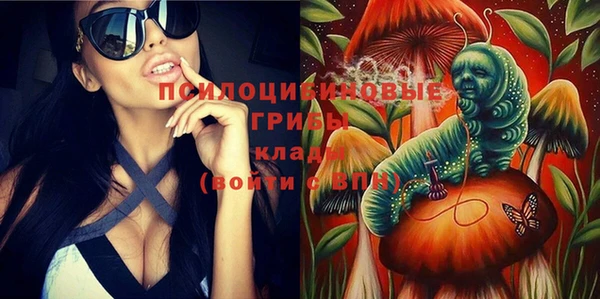 ГАЛЛЮЦИНОГЕННЫЕ ГРИБЫ Остров