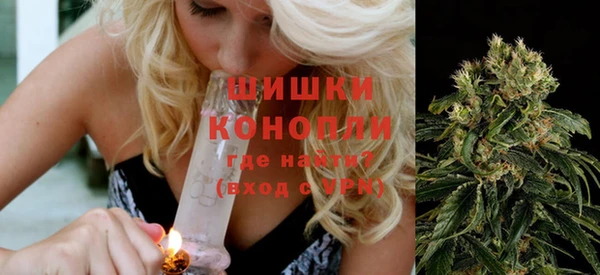 ГАЛЛЮЦИНОГЕННЫЕ ГРИБЫ Остров