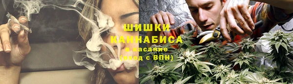 крисы Пестово