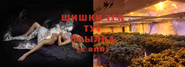 амф Осташков