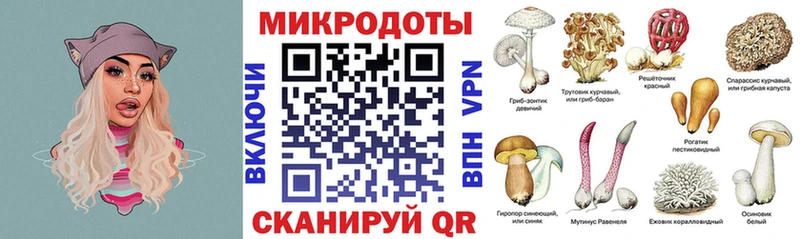 Псилоцибиновые грибы ЛСД  закладка  площадка наркотические препараты  Черногорск 