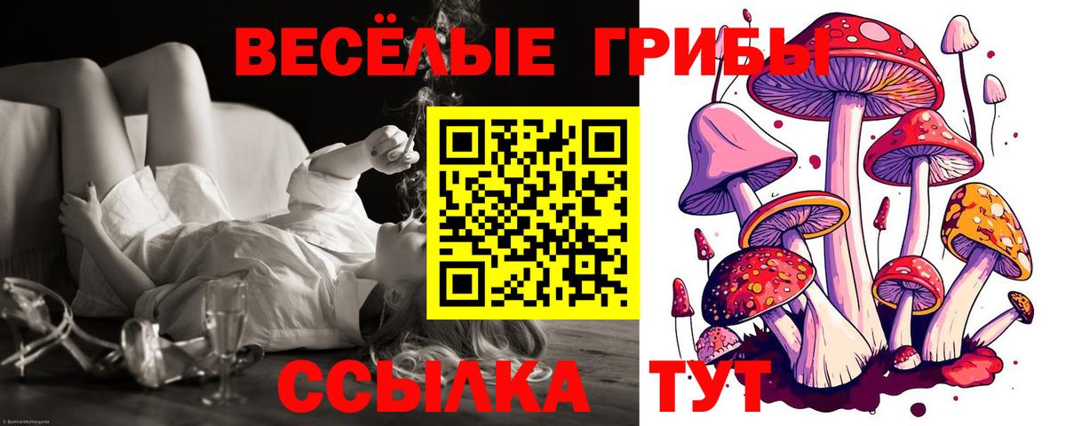 Черногорск  Галлюциногенные грибы MAGIC MUSHROOMS  Галлюциногенные грибы Cubensis  Вход с VPN 