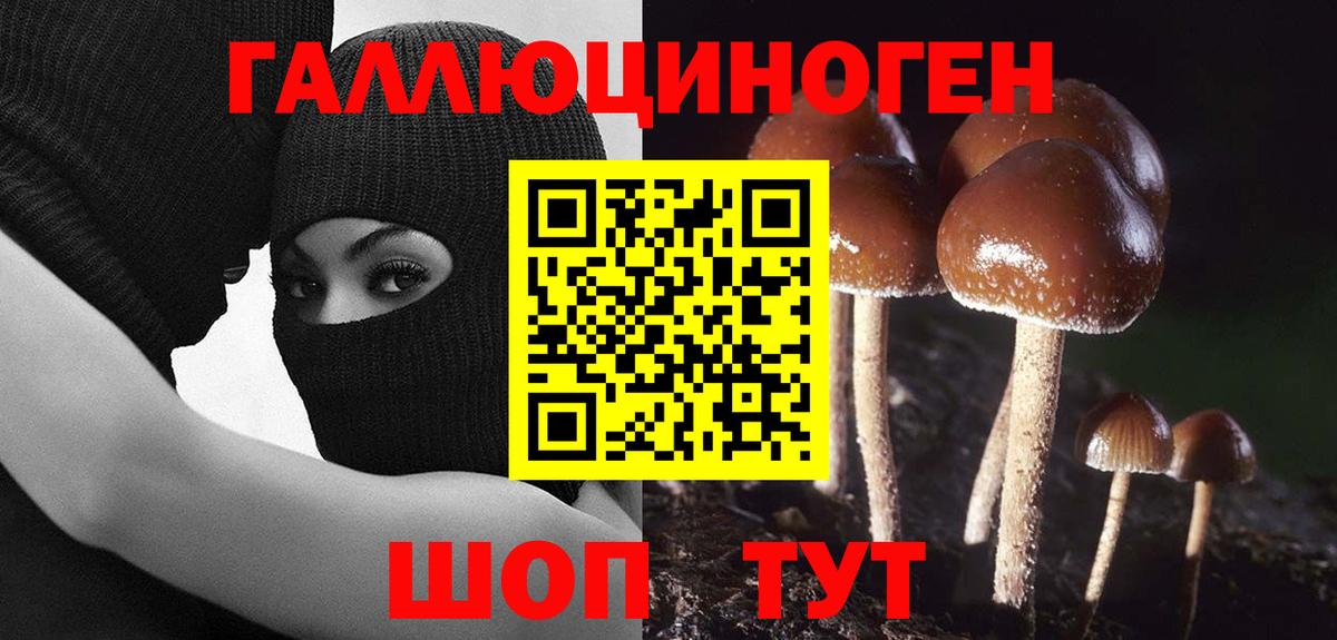 Псилоцибиновые грибы Magic Shrooms Черногорск